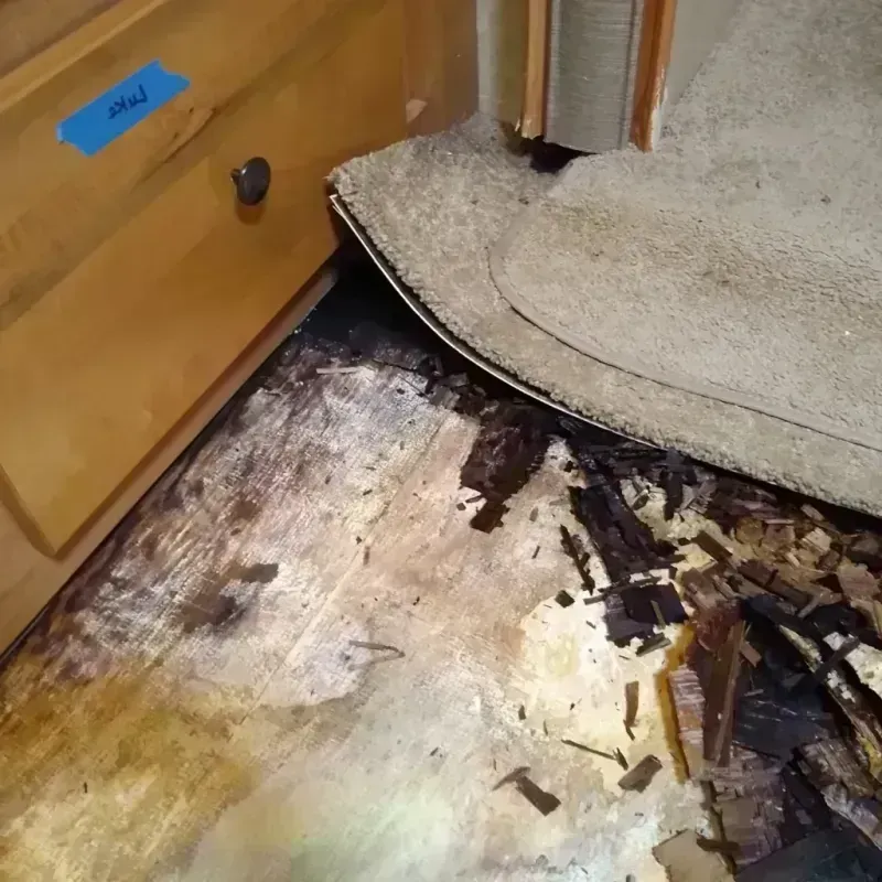 Wood Floor Water Damage in Crisp County, GA